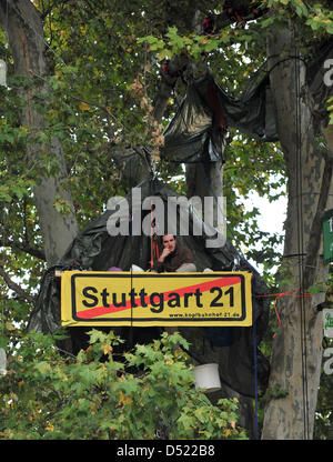 An opponent of the controversial railway construction project Stuttgart 21 squats in a tree at the Schlosspark to protest the project in Stuttgart, Germany, 11 October 2010. They demanded a halt to the multibillion dollar project which includes a remodelling the Stuttgart main station and its connection viaa high speed train to Ulm. Photo: Bernd Weissbrod Stock Photo