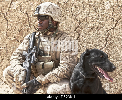 US Marine Lance Cpl. Thomas Foster takes a rest with his military working dog Diamond during a patrol March 6, 2013 in Boldak, Afghanistan. Stock Photo
