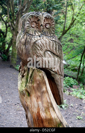 Carved owl in Alva Glen, Clackmannanshire, Central Scotland Stock Photo