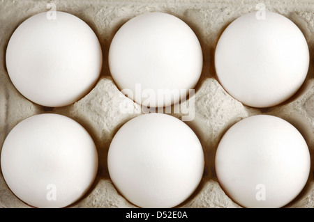 white eggs in a container Stock Photo