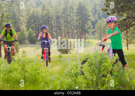 Family riding mountain bikes in meadow Stock Photo