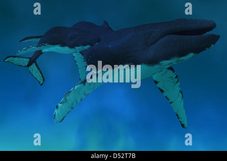 Deep ocean waters find a Humpback mother cow with her calf swimming together. Stock Photo