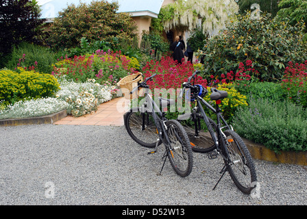 Martinborough Vineyard and Cellar Door, Martinborough, New Zealand Stock Photo