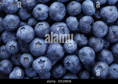 Organic blueberries in high resolution as a background Stock Photo
