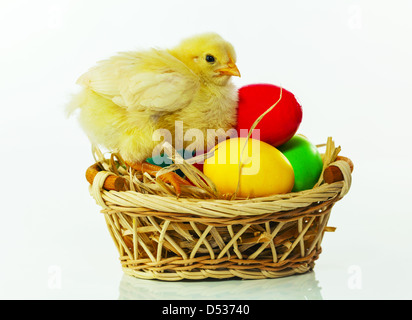 Basket with the Easter eggs and small chicken against white background Stock Photo