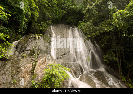 Rainforest with waterfall in the Barron Gorge near Cairns, Far North Queensland, Australia Stock Photo