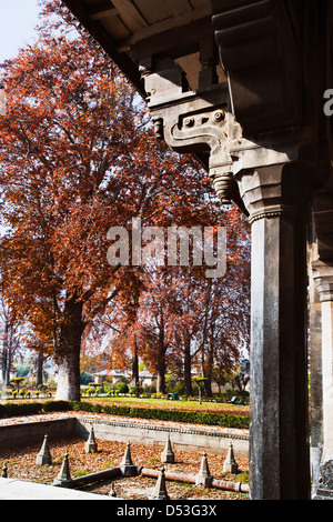 Trees in a garden, Shalimar Bagh, Srinagar, Jammu And Kashmir, India Stock Photo