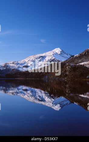 Yr Aran mountain covered in snow and reflected in waters of Llyn Gwynant Gwynedd Snowdonia National Park North Wales UK Stock Photo