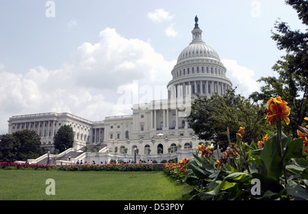 Flowers United States Capitol, meeting place of United States Congress legislature of federal government Washington DC, spring, Stock Photo