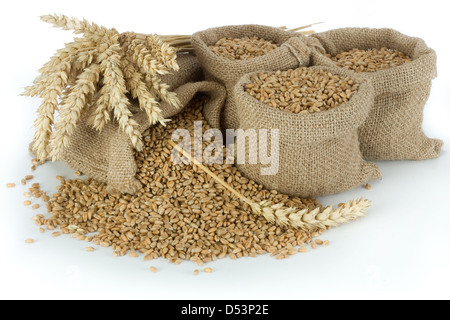 Wheat grain in small burlap sacks Stock Photo