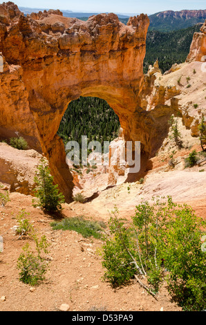 natural arch in Bryce Canyon National Park in Utah in the United States of America Stock Photo