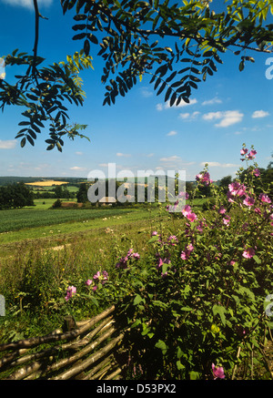South Downs National Park, Sussex, England, UK Stock Photo