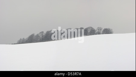 Panorama of a snowy copse on a hill Stock Photo