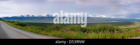 Panorama view south of Alaska Range including Mt. McKinley (Denali Mountain) from western end of Denali National Park, Alaska Stock Photo