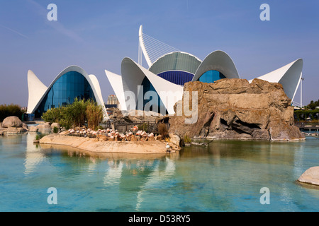 Oceanographic, Valencia, Spain Stock Photo