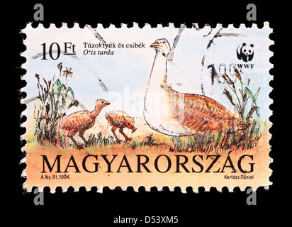Postage stamp from Hungary depicting a Great Bustard  (Otis tarda) with chicks. Stock Photo