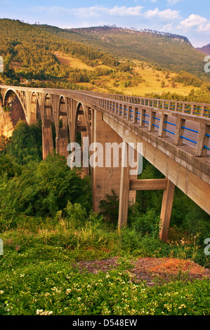 Long bridge over Tara river in Montenegro Stock Photo