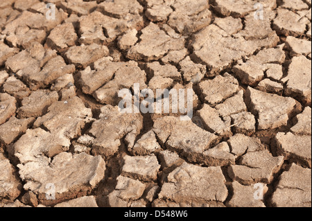 Drought dried mud soil creating difficult structure for plants to grow through rough texture Stock Photo