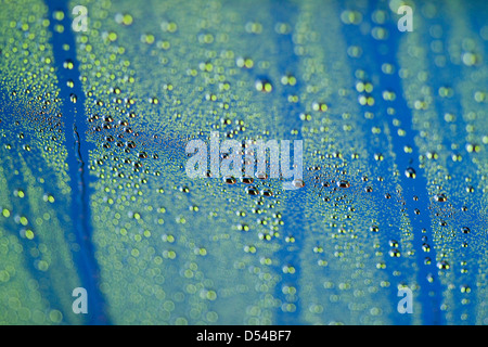 Berlin, Germany, drops on the windscreen of a car in a car wash Stock Photo