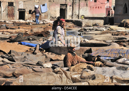 Men tending to the cow hides soaking  in water in the vats at the  tanneries  in  Marrakesh, Morocco, North Africa Stock Photo