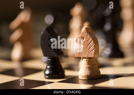 Berlin, Germany, Springer pawn on a chess board Stock Photo