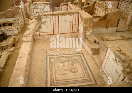 Frescoes and lion mosaic tile floor of interior of a Slope House ruin on Curetes street of ancient Ephesus Turkey Stock Photo