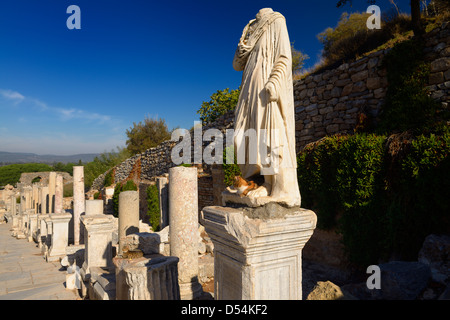 Feral cats on pedestal and marble statue at ruins on Curetes Street of ancient city of Ephesus Turkey Stock Photo