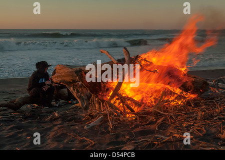 Keeping Warm on Hokitika Beach, Hokitika, West Coast, New Zealand Stock Photo