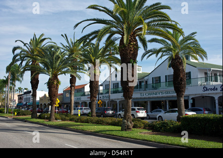 palm trees down the main tourist street in Venice Florida Stock Photo