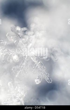 Berlin, Germany, Close-up of ice crystals Stock Photo