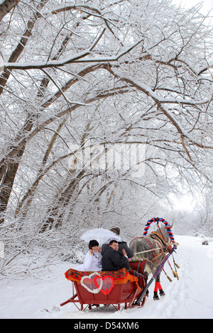 Just Married go on horse sleigh on honeymoon Stock Photo