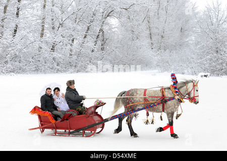 Just Married go on horse sleigh on honeymoon Stock Photo