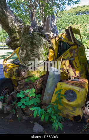 Dominica Roseau, Botanical gardens, relic of bus crushed by tree in Hurricane Stock Photo