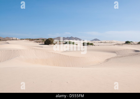 Sand dunes in desert landscape Stock Photo