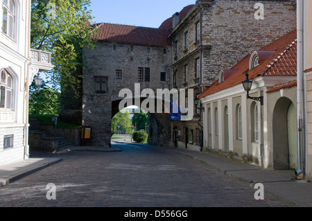 Great Coastal Gate (Suur Rannavärav) at the north end of Pikk in Tallinn Old Town, Tallinn, Estonia, Baltic States. Stock Photo