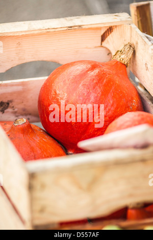 Close up of pumpkins in crate Stock Photo