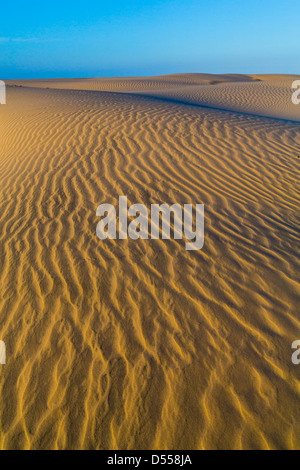 Sand dune patterns along the seashore on South Padre Island, Texas, USA. Stock Photo