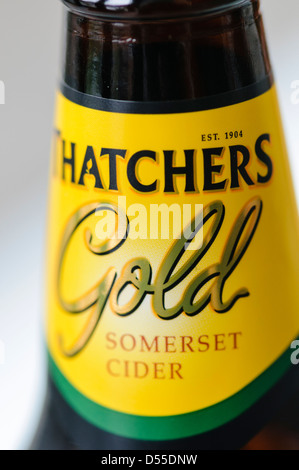 Thatcher's Gold Somerset cider Stock Photo