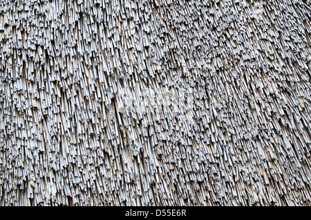 hay or dry grass background Stock Photo