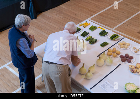 2 judges assess the quality of vegetable entries at Burley Gardeners' Annual Show - Queen's Hall, Burley-in-Wharfedale, West Yorkshire, England, UK. Stock Photo