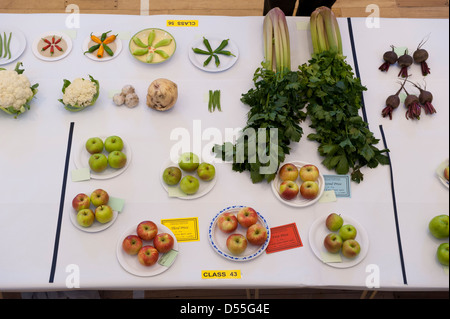 Wide variety of fresh fruit & veg entries displayed on table, in competition at Gardeners' Show - Burley-in-Wharfedale, West Yorkshire, England, UK. Stock Photo