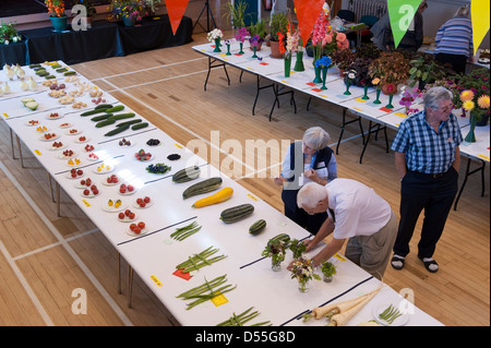 2 judges assessing the quality of homegrown fruit & veg entries at Burley Gardeners' Annual Show - Burley-in-Wharfedale, West Yorkshire, England, UK. Stock Photo