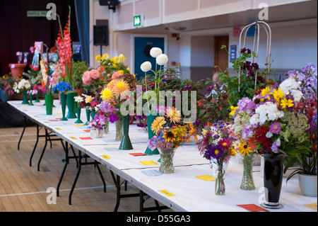 Beautiful pot plants & bright colourful flowers displayed on tables in competition - Gardeners' Show, Burley-in-Wharfedale, Yorkshire, England, UK. Stock Photo