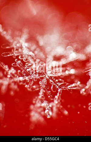 Berlin, Germany, Close-up of ice crystals Stock Photo