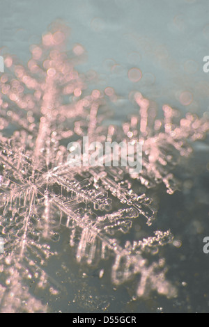 Berlin, Germany, Close-up of ice crystals Stock Photo