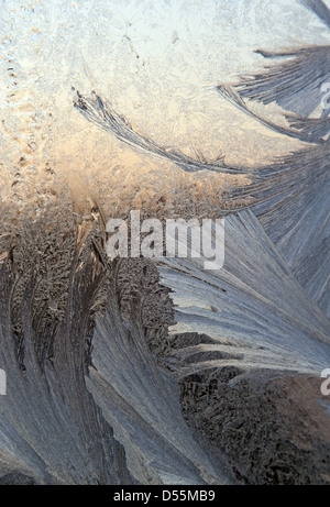 Berlin, Germany, frost patterns on a window pane Stock Photo