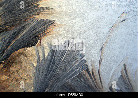 Berlin, Germany, frost patterns on a window pane Stock Photo