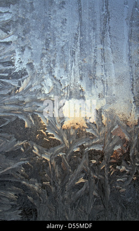 Berlin, Germany, frost patterns on a window pane Stock Photo