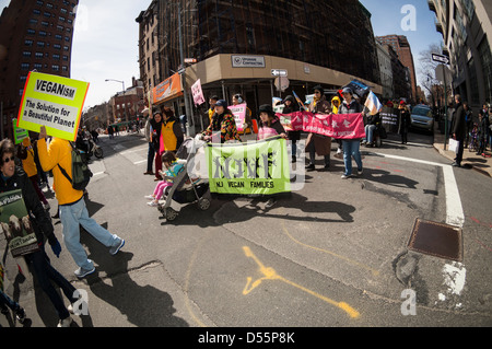 Hundreds of vegetarians gather in the trendy Meatpacking District in New York for the Annual Veggie Pride Parade in America. Stock Photo