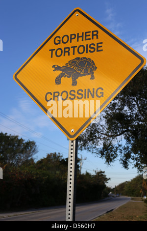 A road sign that says GOPHER TORTOISE CROSSING Stock Photo